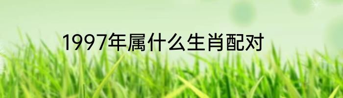 1997年属什么生肖配对