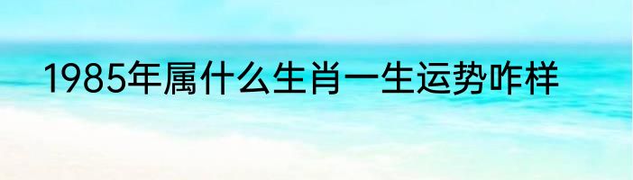 1985年属什么生肖一生运势咋样
