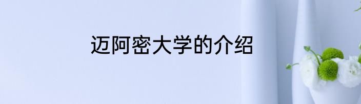 迈阿密大学的介绍