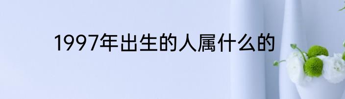 1997年出生的人属什么的