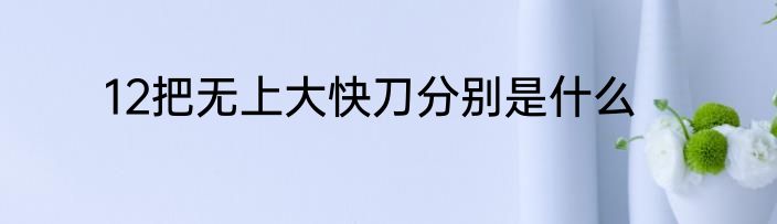 12把无上大快刀分别是什么