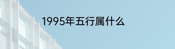 1995年五行属什么