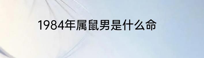 1984年属鼠男是什么命
