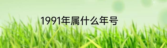 1991年属什么年号