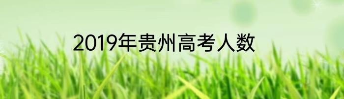 2019年贵州高考人数