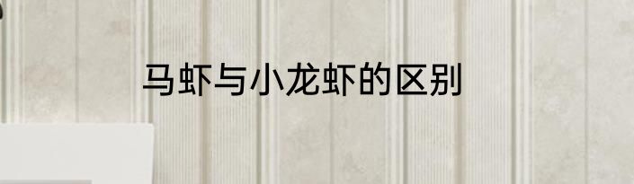 马虾与小龙虾的区别