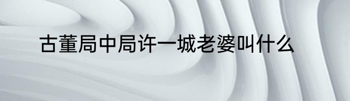 古董局中局许一城老婆叫什么