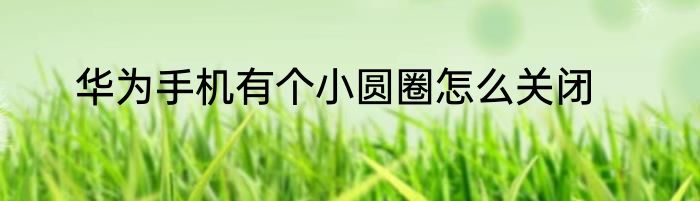 华为手机有个小圆圈怎么关闭
