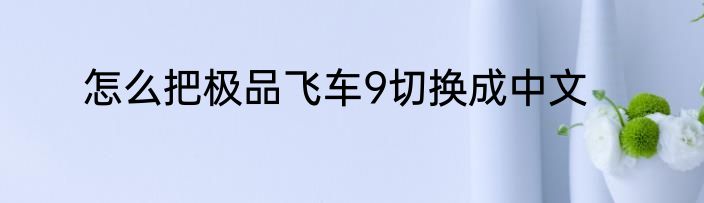 怎么把极品飞车9切换成中文