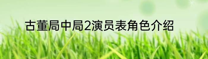 古董局中局2演员表角色介绍