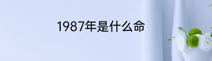 1987年是什么命