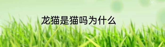 龙猫是猫吗为什么