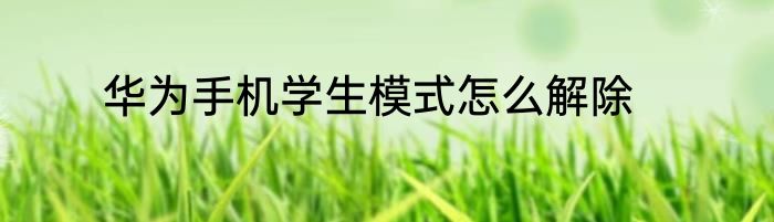 华为手机学生模式怎么解除