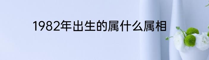 1982年出生的属什么属相