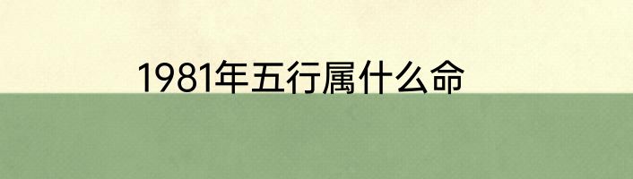 1981年五行属什么命