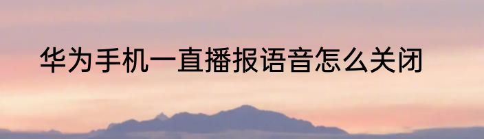 华为手机一直播报语音怎么关闭