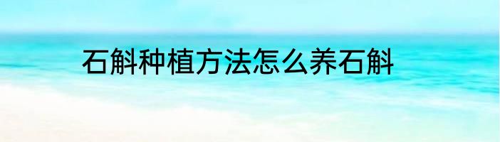 石斛种植方法怎么养石斛