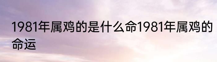 1981年属鸡的是什么命1981年属鸡的命运