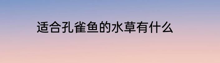 适合孔雀鱼的水草有什么