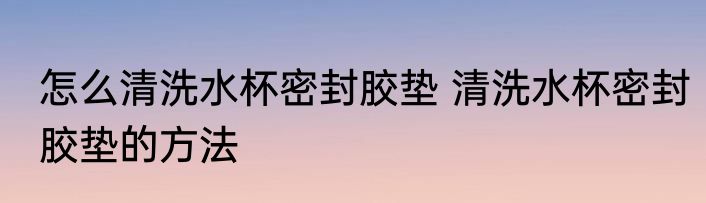 怎么清洗水杯密封胶垫 清洗水杯密封胶垫的方法