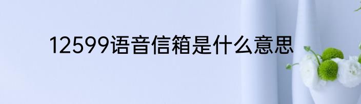 12599语音信箱是什么意思