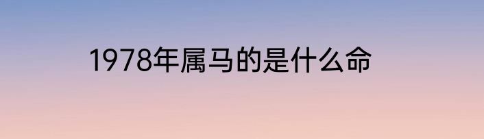 1978年属马的是什么命