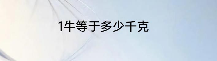 1牛等于多少千克