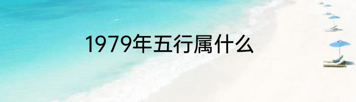 1979年五行属什么