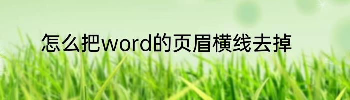 怎么把word的页眉横线去掉