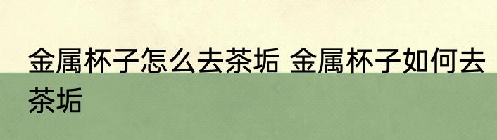 金属杯子怎么去茶垢 金属杯子如何去茶垢