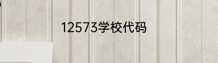 12573学校代码