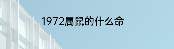 1972属鼠的什么命