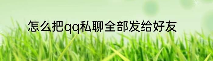 怎么把qq私聊全部发给好友
