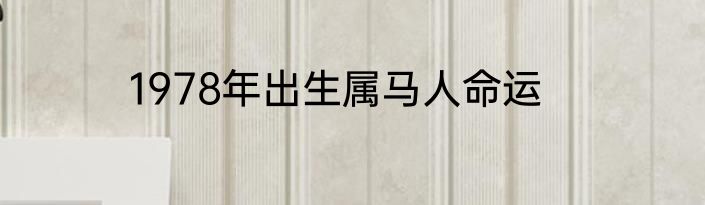 1978年出生属马人命运