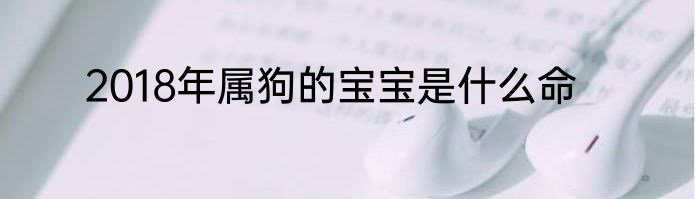 2018年属狗的宝宝是什么命