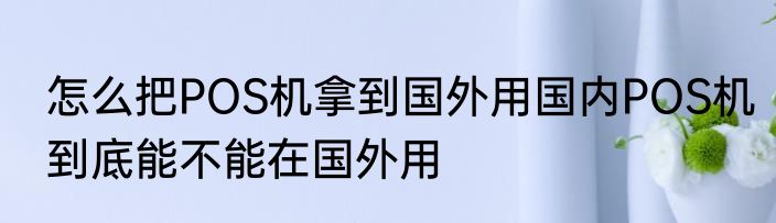 怎么把POS机拿到国外用国内POS机到底能不能在国外用