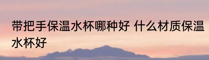带把手保温水杯哪种好 什么材质保温水杯好