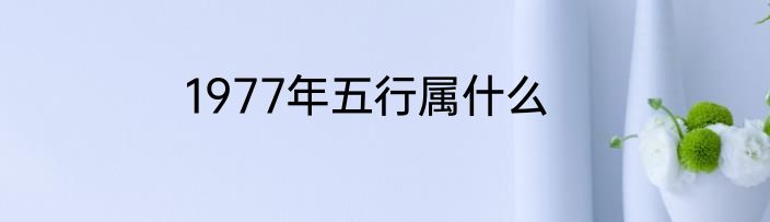 1977年五行属什么