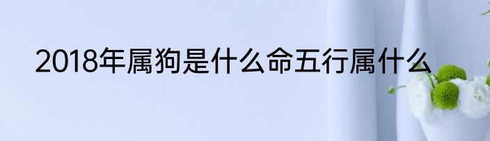2018年属狗是什么命五行属什么