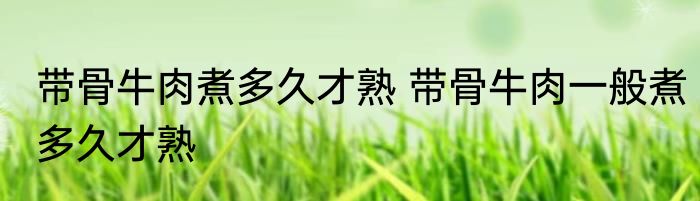 带骨牛肉煮多久才熟 带骨牛肉一般煮多久才熟