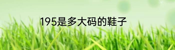 195是多大码的鞋子