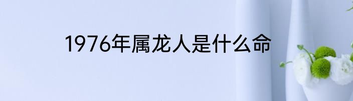 1976年属龙人是什么命