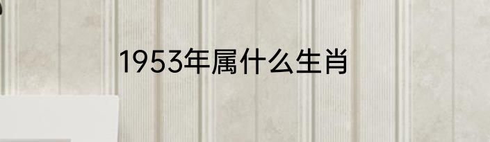 1953年属什么生肖