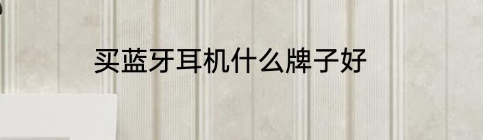 买蓝牙耳机什么牌子好