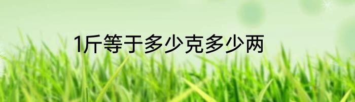 1斤等于多少克多少两