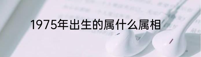 1975年出生的属什么属相