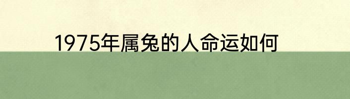 1975年属兔的人命运如何