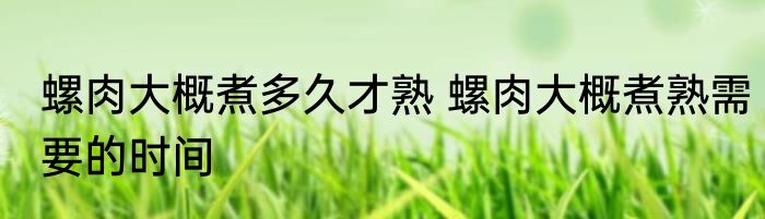螺肉大概煮多久才熟 螺肉大概煮熟需要的时间