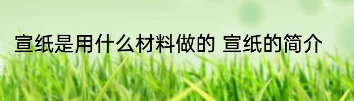 宣纸是用什么材料做的 宣纸的简介