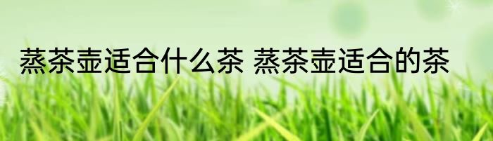 蒸茶壶适合什么茶 蒸茶壶适合的茶